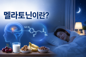 잠 잘 오는 법 & 식물성 멜라토닌 효능 효과, 수면에 도움될까? 2 식물성 멜라토닌