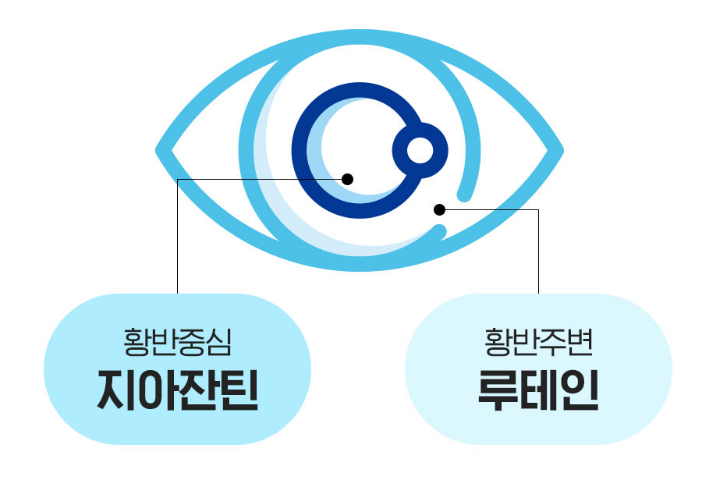 비문증 증상 원인 완치 치료 방법, 눈 영양제 추천까지 총정리 3 image 28