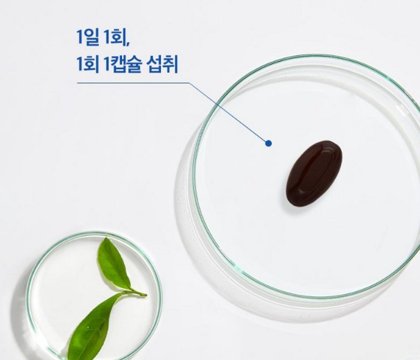 눈 비문증 영양제 추천 1위 루테인 효능, 정말 효과 있을까? 2 image 32