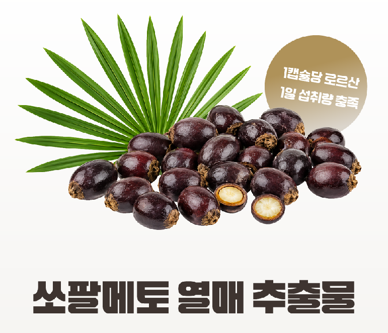 쏘팔메토 효능과 전립선 건강 기대 효과는? 1 image 33